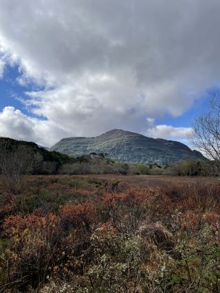 The Muckross and Dinis loop walk: a very scenic route in Ireland's Killarney National Park