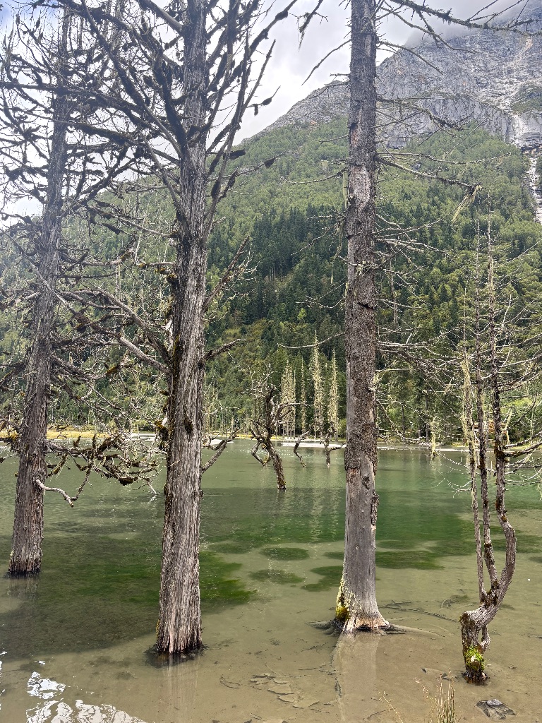 人生必去之地：雙橋溝旅行體驗分享與實用攻略