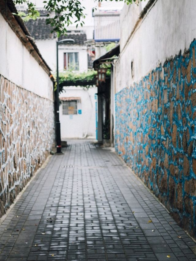 Art district in Suzhou old town 🌹