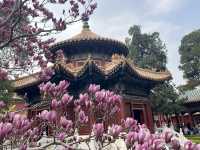 Beijing’s Palace Museum 🇨🇳