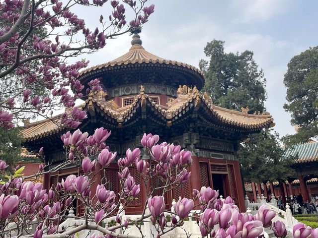 Beijing’s Palace Museum 🇨🇳