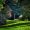 SunflowerMeadow111vf