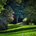 SunflowerMeadow111vf