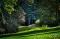 SunflowerMeadow111vf