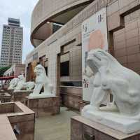 Explore the Amazing Shanghai Museum 🖼️