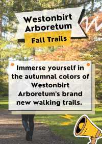 New Fall Trails at Westonbirt Arboretum🍂