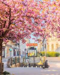 Blossoming Beauty in Paris - A Captivating Weekend!