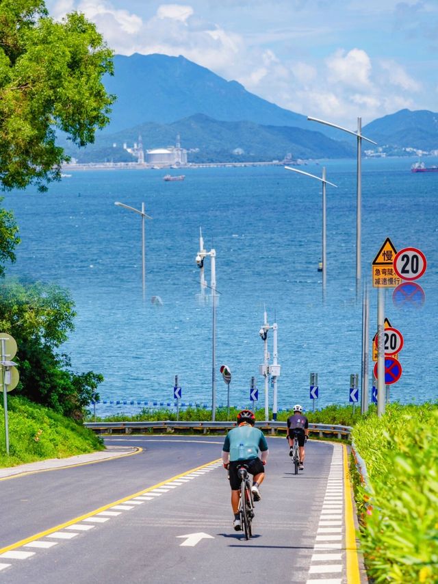 在廣東!!為了這條沿海公路願意來一萬次…