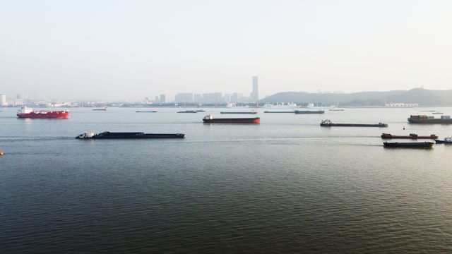 靖江音樂花海廣場，萬朵鮮花在此綻放，訴說著渡江戰役的故事