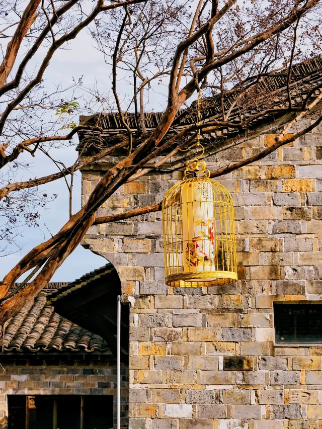 High-speed rail goes directly, realizing the freedom of autumn appreciation in Anhui