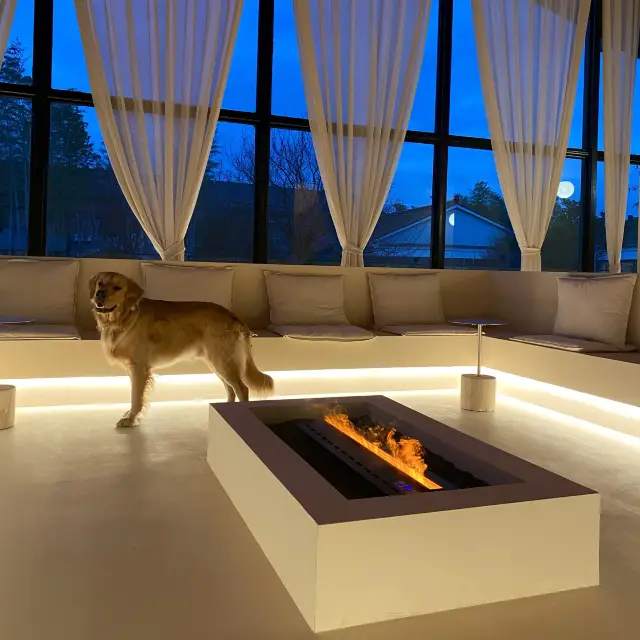 One puppuchino, please!