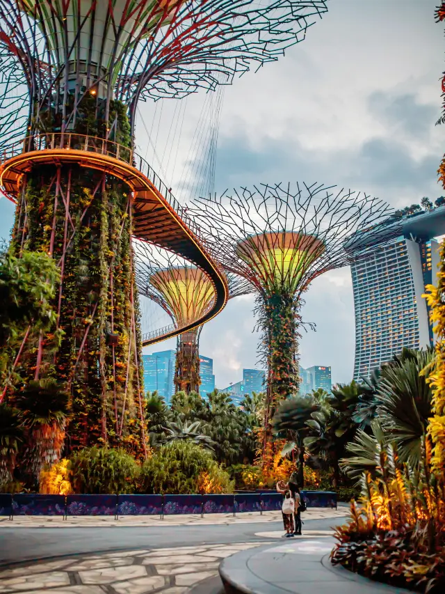 💰🎒Only $200 for Singapore! Uncover the great way to travel on a super low budget!