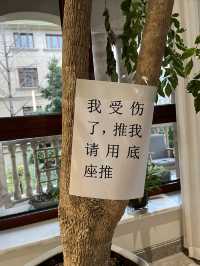 民宿居然給我提供了情緒價值