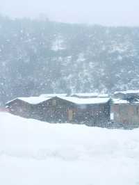 成都娃兒的冬日夢想：鷓鴣山，鵝毛大雪中的滑雪樂園