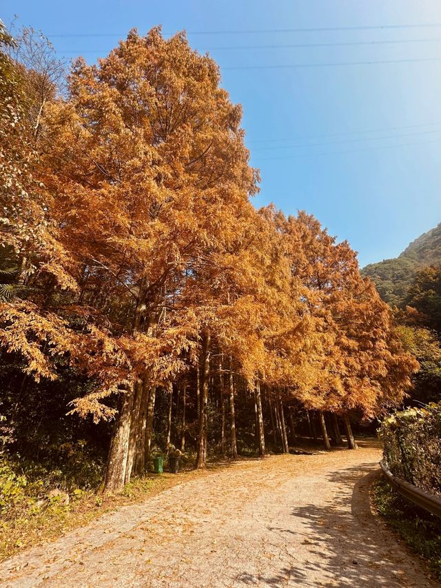 太絕了!藏在白雲山腳下的油畫世界美爆了!