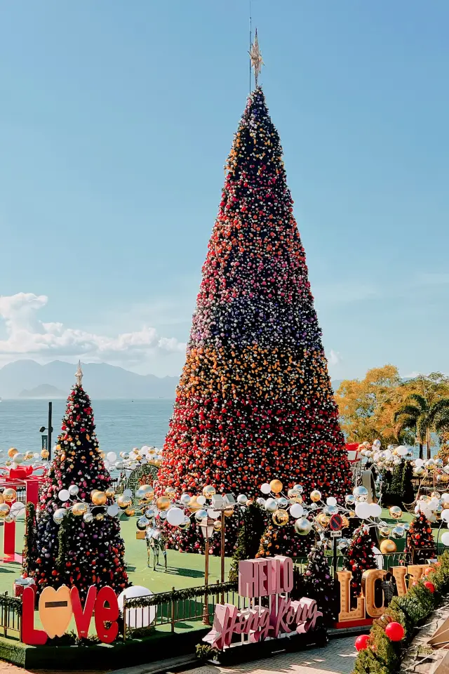 2023년 전 홍콩 최고의 크리스마스 트리 | 서구 문화 지구에서 문화 축제를 즐기십시오