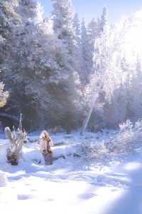 冬季新疆全攻略 一起在雪裡肆意狂歡吧