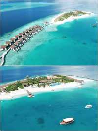 🩵我宣布，我在馬爾代夫承包了一座島
