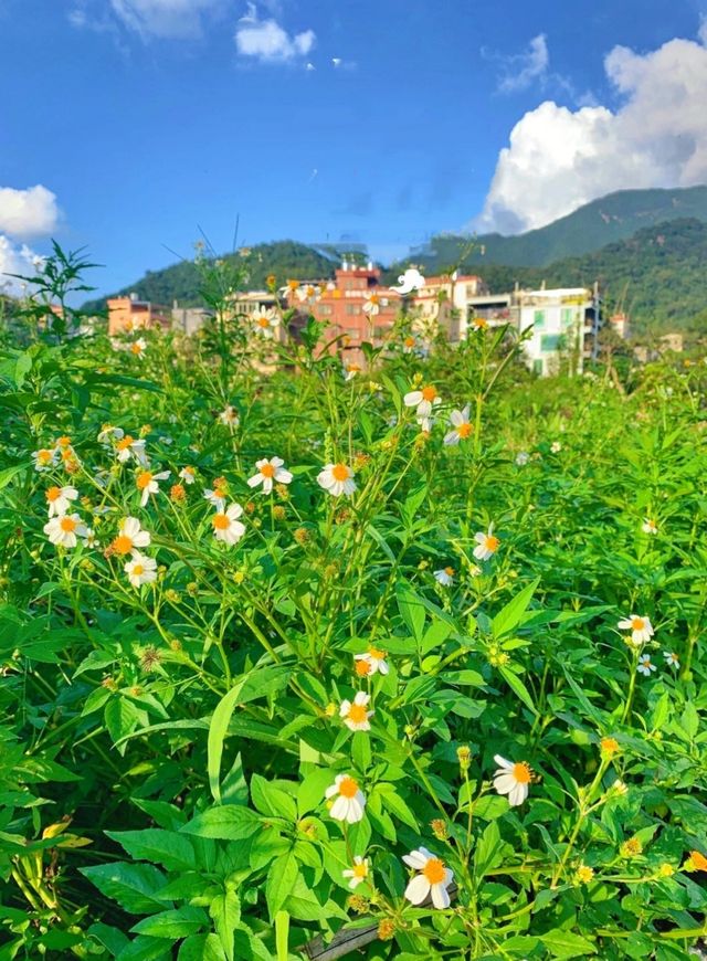 廣東最美鄉村——從化溪頭旅遊村