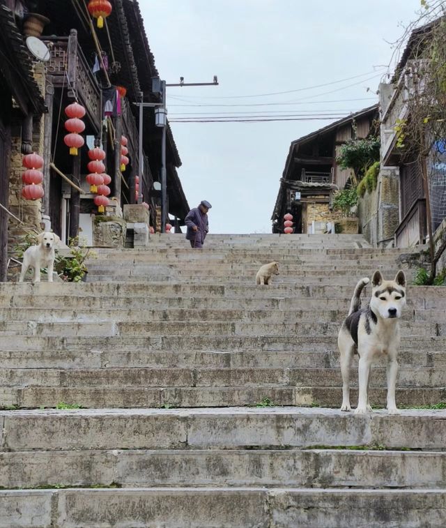 昨日中午抵達此地，一個一腳踏三省的古鎮，邊城，也叫茶峒