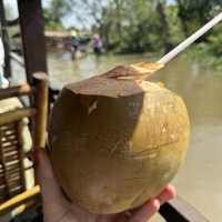 Exploring the Tranquil Mekong Delta