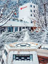 川西小瑞士！泡無邊溫泉游泳池、觀雪山美景