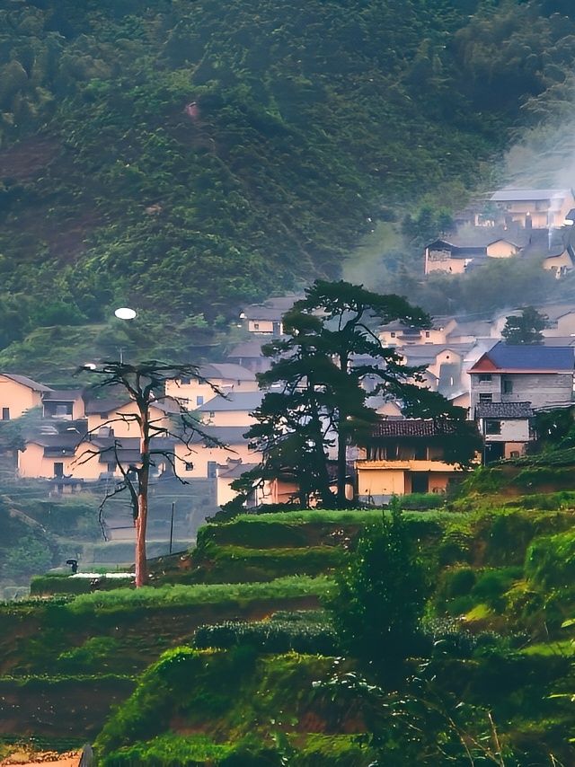 必看！遂昌的超級徒步線路，一路沉浸式美景！