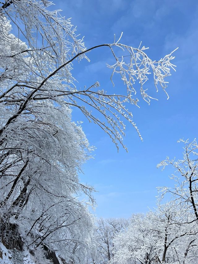 河南南陽｜冬爬太白頂，絕美！