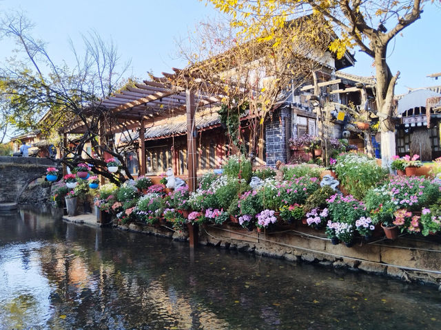 背包客貴陽雲南四日遊