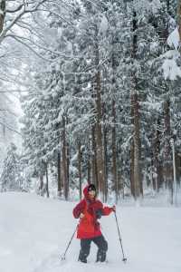 不滑雪了雪國邂逅美人林 雪地徒步進森林