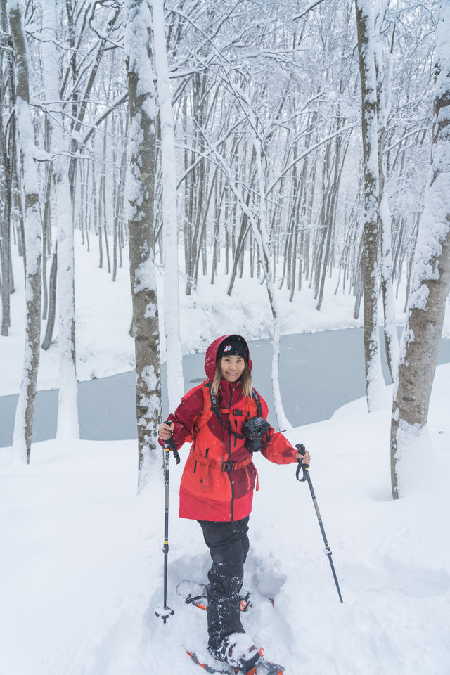 不滑雪了雪國邂逅美人林 雪地徒步進森林