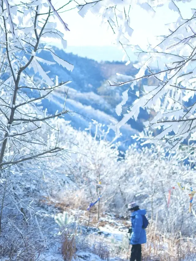 寧波的小土豆們快出發賞雪賞霧凇來這兒