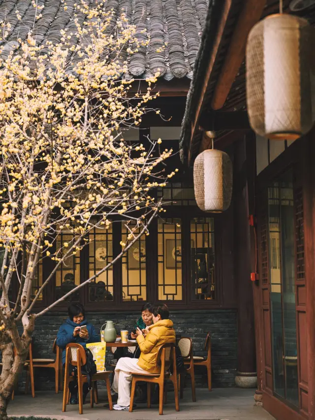 OMG, Chengdu's seriously underestimated plum blossom viewing spot, go for it