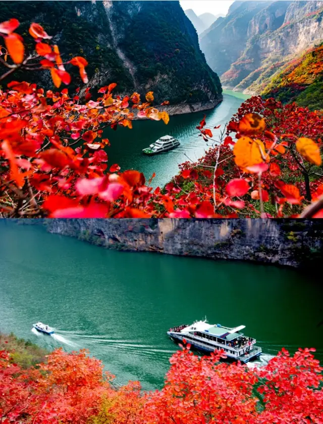長江三峡の秋の風景は本当に過小評価されています
