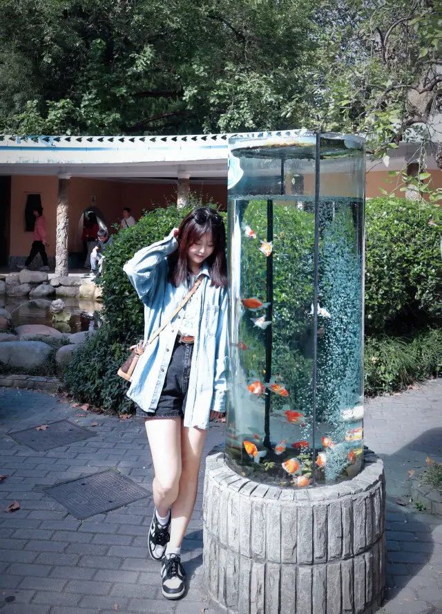 上海動物園｜ここではあなたが子供の心を持つことを許可します