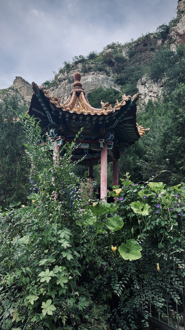 國慶反向旅遊 太原1h直達 人少景美不堵車!遠離城市喧囂 這個國慶真的不要太巴適! 山西自己的川西 國慶反向旅遊 太原1h直達 人少景美不堵車!遠離城市喧囂 這個國慶真的不要太巴適! 山西自己的川西