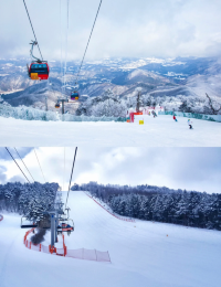 就是現在！讓我帶您玩轉韓國滑雪！