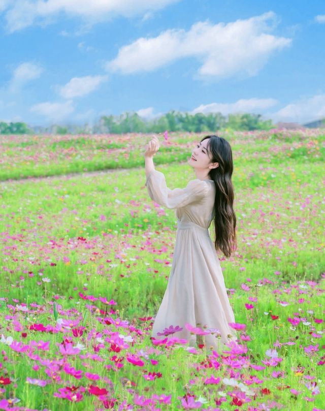 上海之魚花海