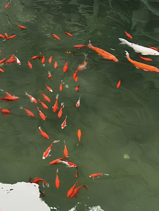 德陽｜石刻公園異域風格好好拍
