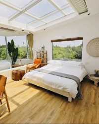 上海迪士尼打卡|人均200左右的絕美民宿!值哭了!