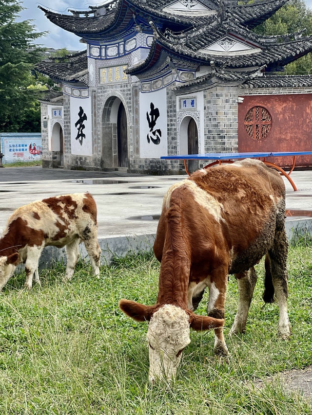 綺羅古鎮-徐霞客筆下他記憶裡的最美之地