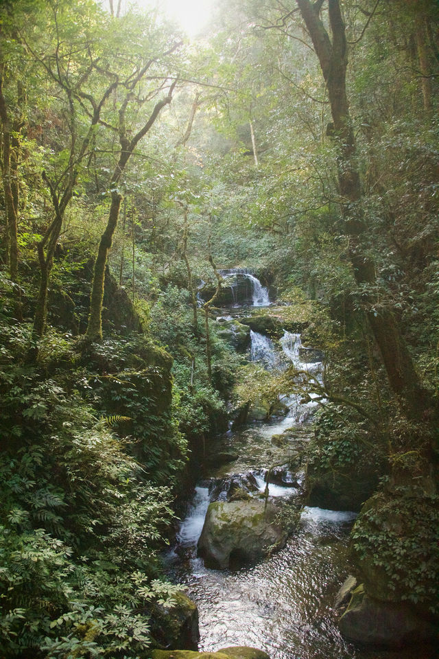 昆明周邊｜玉溪雲海日出哀牢山徒步𝟮天攻略