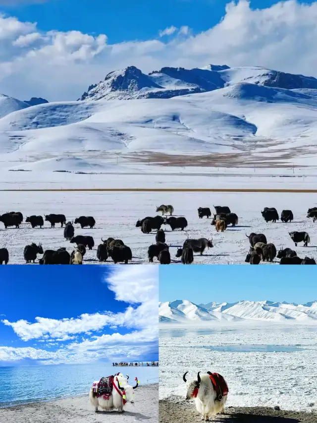 Don't go to Namtso in winter