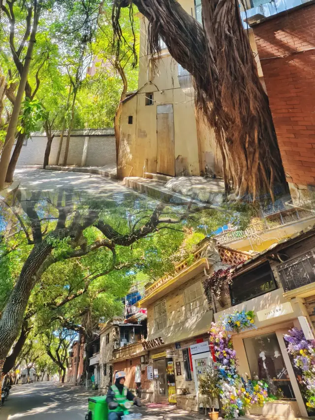 Gulangyu in Fuzhou is endlessly charming, making people never get tired of it even after ten thousand visits!