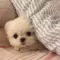 Johnson_Sophia_2