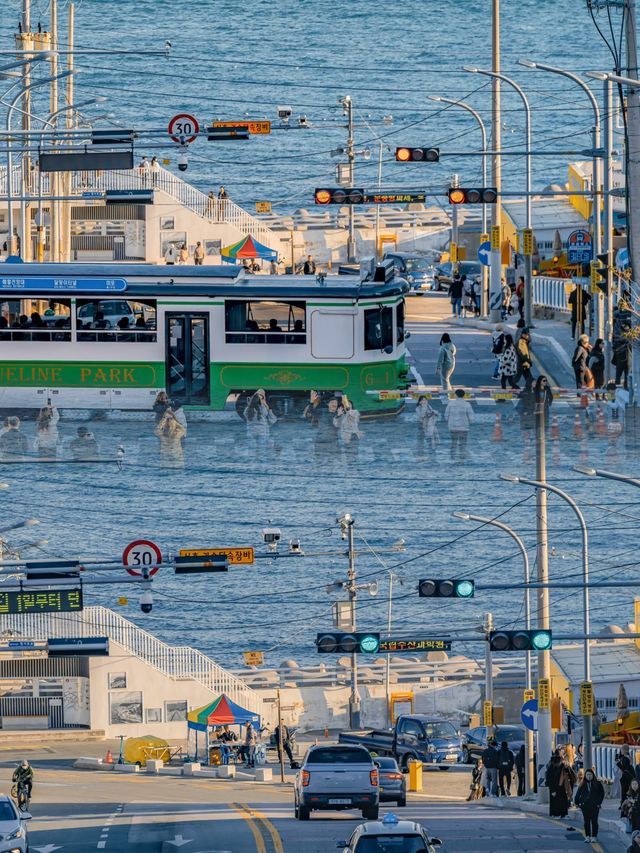 為了這趟海邊列車，我想再去釜山 10000 次！