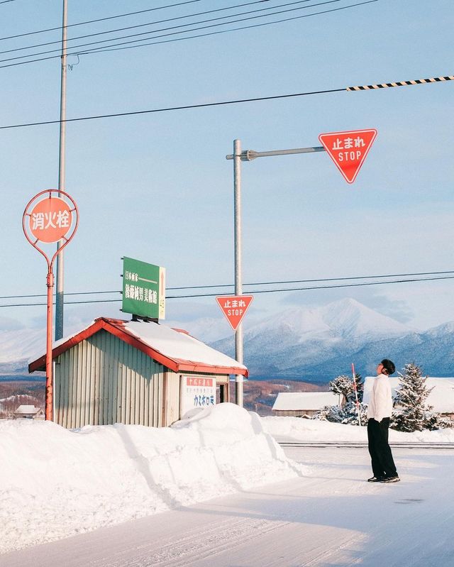 그래요. 올해는 홋카이도 어디로 떠나볼까요❄️