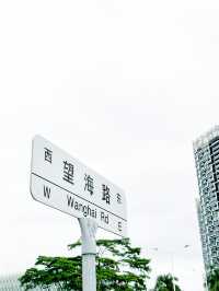城市漫步｜從湛江到深圳，與HK隔海相望