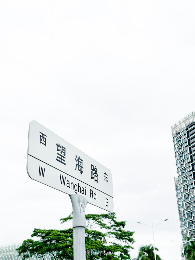 城市漫步｜從湛江到深圳，與HK隔海相望