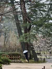 日本北陸｜雨中探秘金澤之美